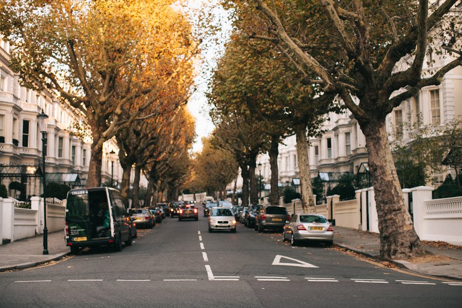 A residential street in Islington lined with white Victorian-style terraced houses featuring ornate architectural details and black wrought-iron railings. Large mature trees with spreading branches and autumn foliage shade the pavement on both sides of the road. Several parked cars, including sedans and small vans, are positioned along the curb, while a dark green van is positioned on the left side of the street, adjacent to the pavement. The van appears to be part of a house removal or furniture transport operation, with its rear doors open and some packing materials visible nearby. The scene is illuminated by natural daylight, suggesting early morning or late afternoon, and indicates a typical urban environment where relocation services such as [COMPANY_NAME] may be coordinating parking suspensions for moving logistics, including loading household furniture and boxes into moving vehicles during a home relocation or packing and moving process.