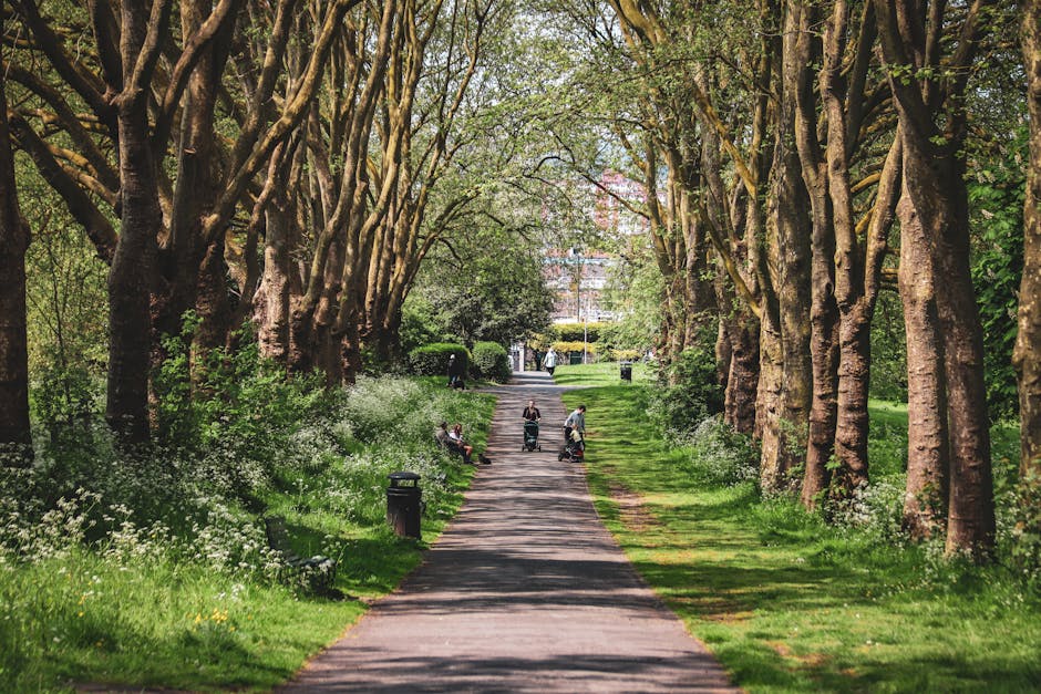 A paved pathway runs alongside a grassy area with a large, leafless tree in the foreground and additional trees in the background. A person is sitting on a bench by the water’s edge, which is part o