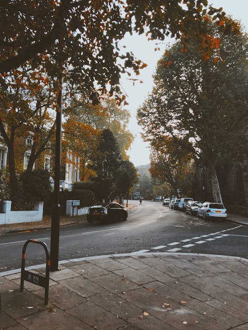 A quiet residential street during daytime with a curved pavement corner leading into a wider road. Tall trees with orange and green foliage line the street, casting shadows on parked cars along the curb. The vehicles include a black car parked close to the corner, and several other cars further down the street, all aligned parallel to the pavement. In the foreground, there is a metal bike rack on the sidewalk, and a white-painted low wall surrounds a residential property with a blue door partially visible behind trees. The scene appears to be in autumn and shows no moving activity or furniture, focusing on the street environment where home relocation or furniture transport might occur during the broader moving process supported by companies like Man with Van Canonbury.